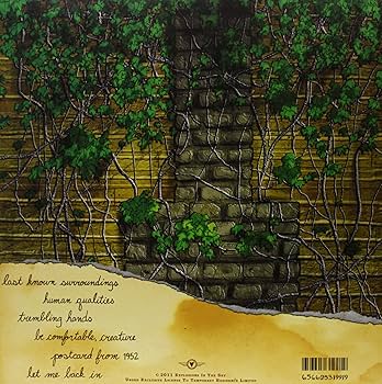 Explosions In The Sky レコード2枚セット 913Kli9O+QL._UF350,350_QL80_.jpg